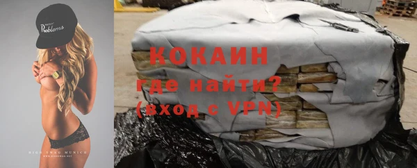 шишки Новодвинск