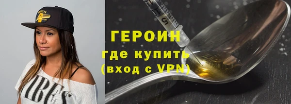 шишки Новодвинск