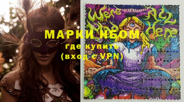 шишки Новодвинск