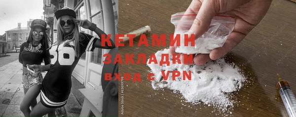 шишки Новодвинск