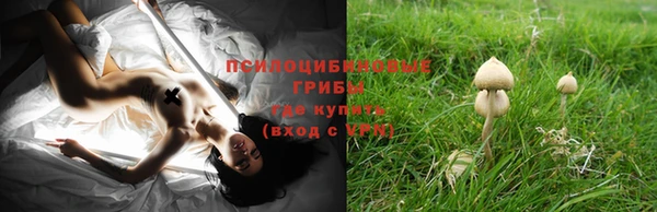 синтетический гашиш Новокубанск