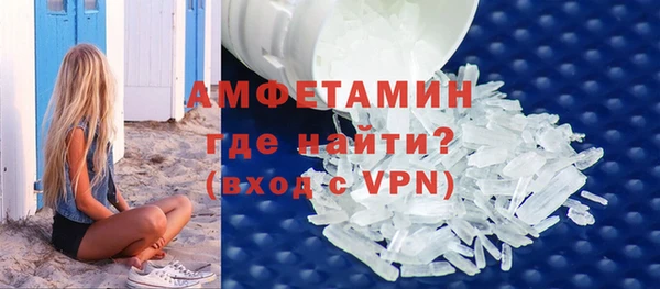 шишки Новодвинск
