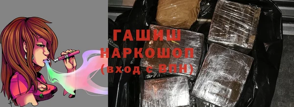шишки Новодвинск