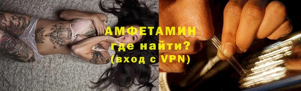 шишки Новодвинск