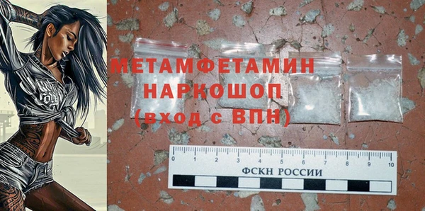 шишки Новодвинск
